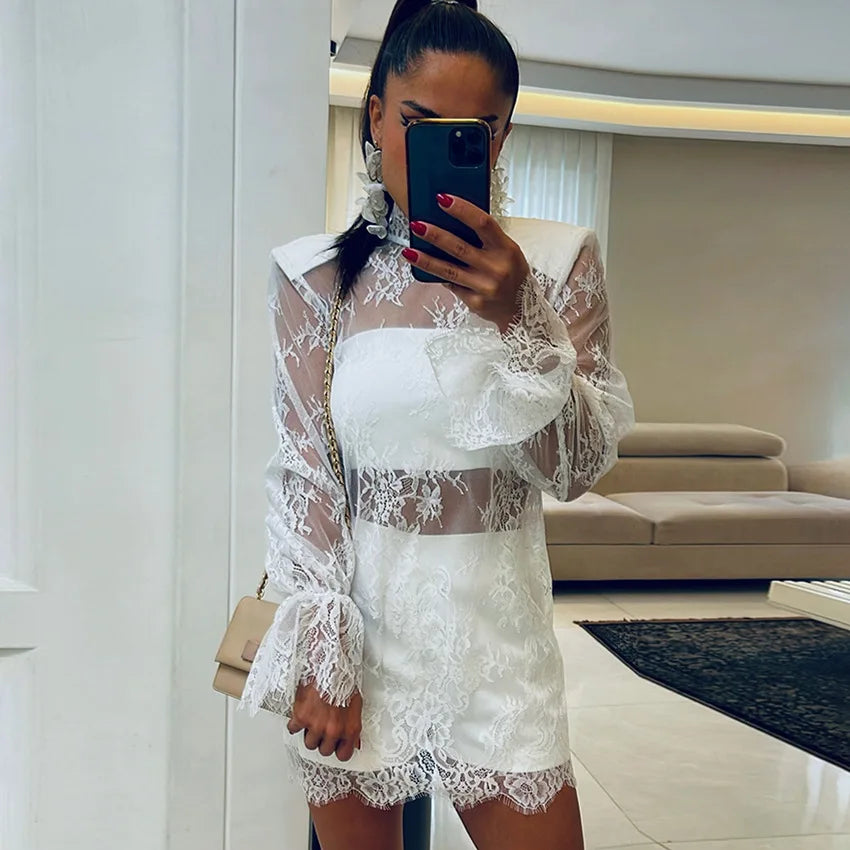 Veloura Sheer Lace Mini Dress