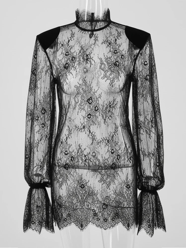 Veloura Sheer Lace Mini Dress