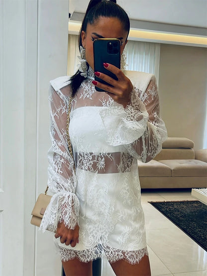 Veloura Sheer Lace Mini Dress