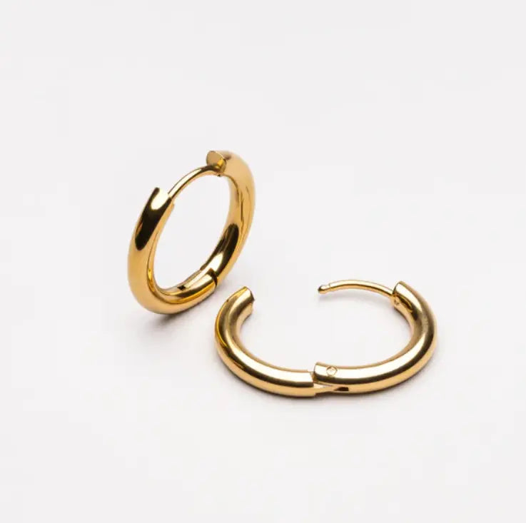 Lucia earrings — accessory
