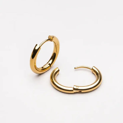 Lucia earrings — accessory